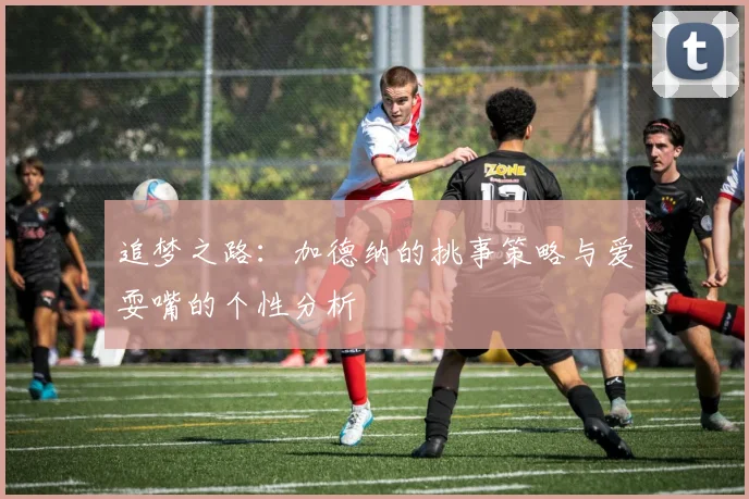 追梦之路：加德纳的挑事策略与爱耍嘴的个性分析