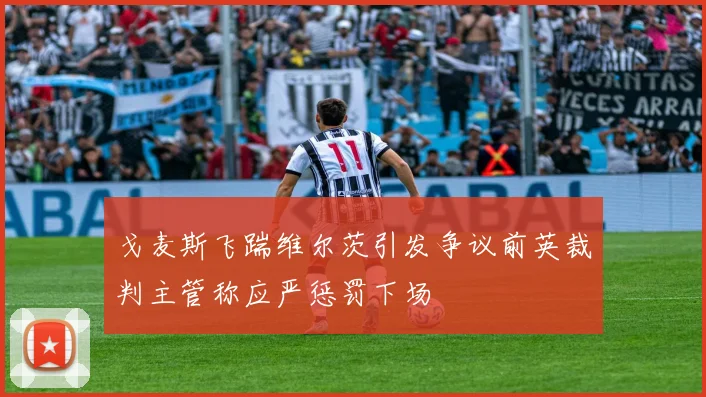 戈麦斯飞踹维尔茨引发争议前英裁判主管称应严惩罚下场