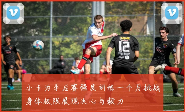 小卡为季后赛强度训练一个月挑战身体极限展现决心与毅力