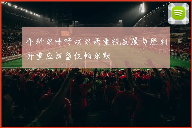 乔科尔呼吁切尔西重视发展与胜利并重应该留住帕尔默
