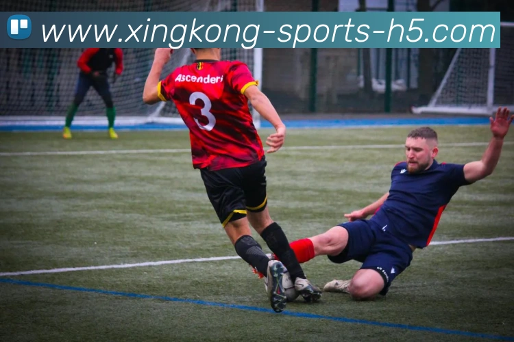 星空体育平台生态图